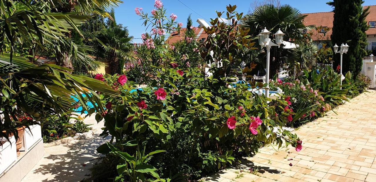 Paradise-Garden-Zamárdi Extérieur photo